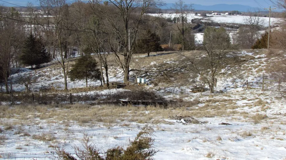 Property in Staunton