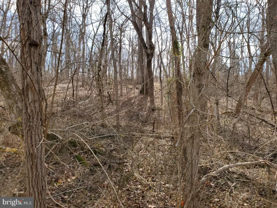 Property in Warren
