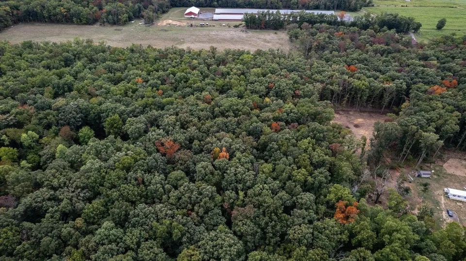 Property in Rockingham