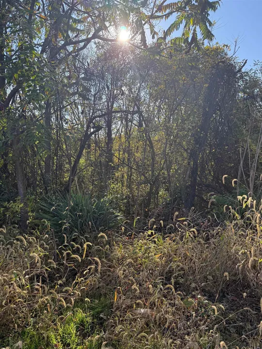 Property in Shenandoah