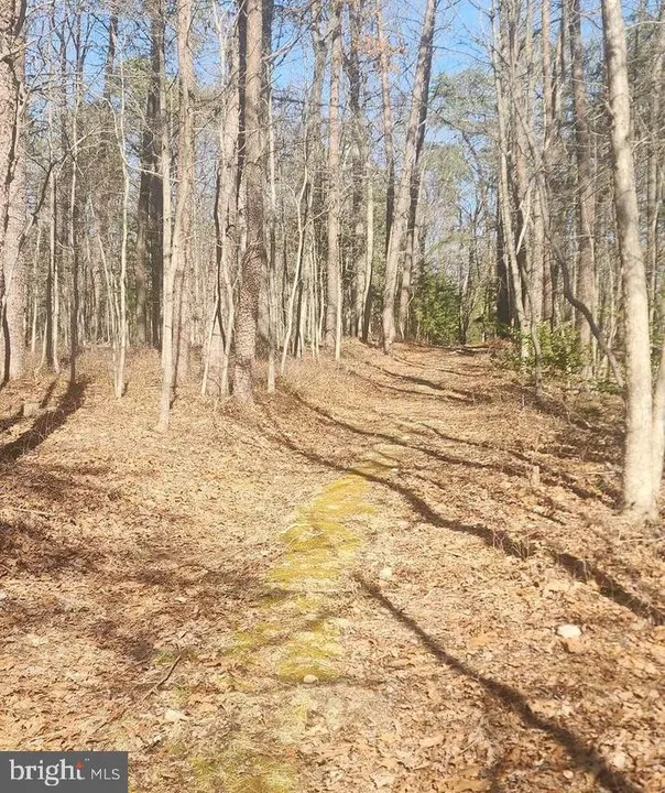 Property in Warren County