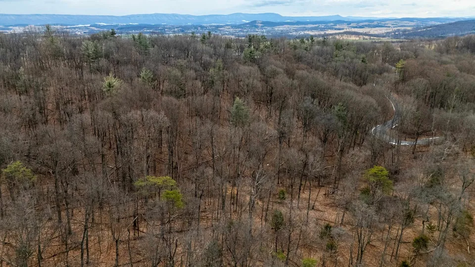 Property in Rockingham