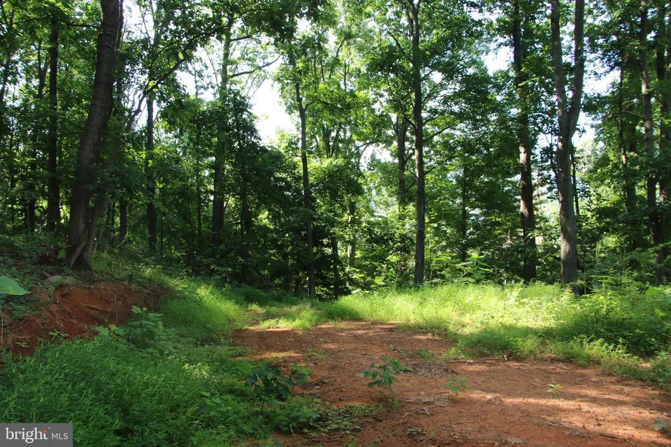 Property in Page