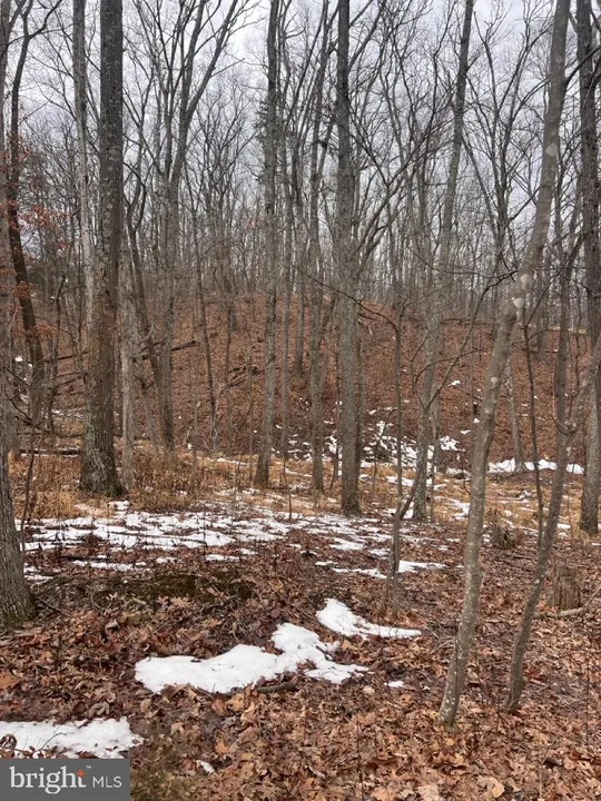 Property in Shenandoah