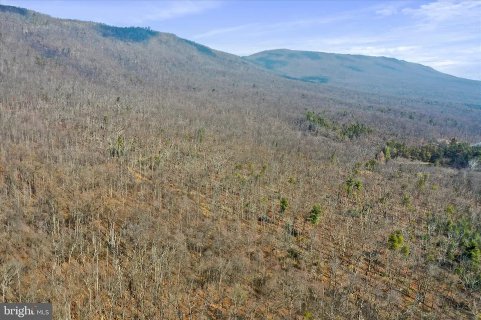 Property in Shenandoah