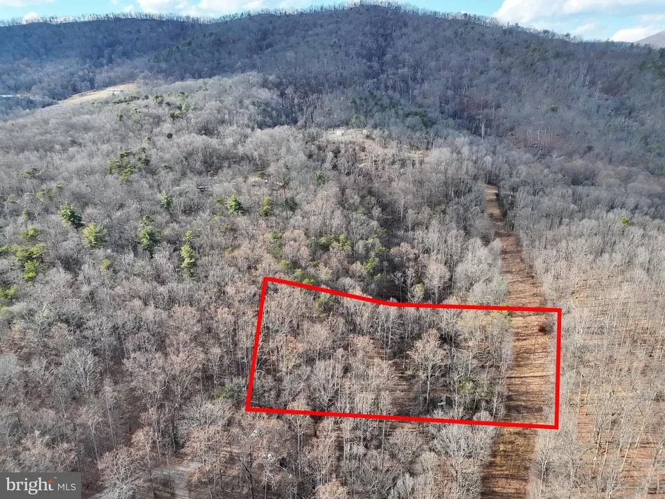 Property in Shenandoah