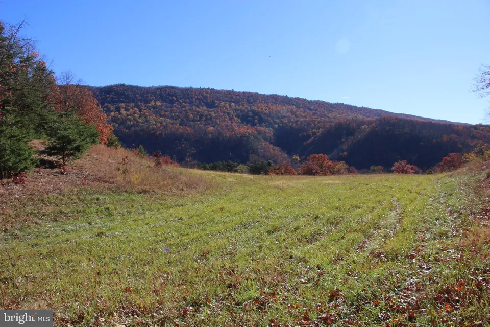 Property in Shenandoah