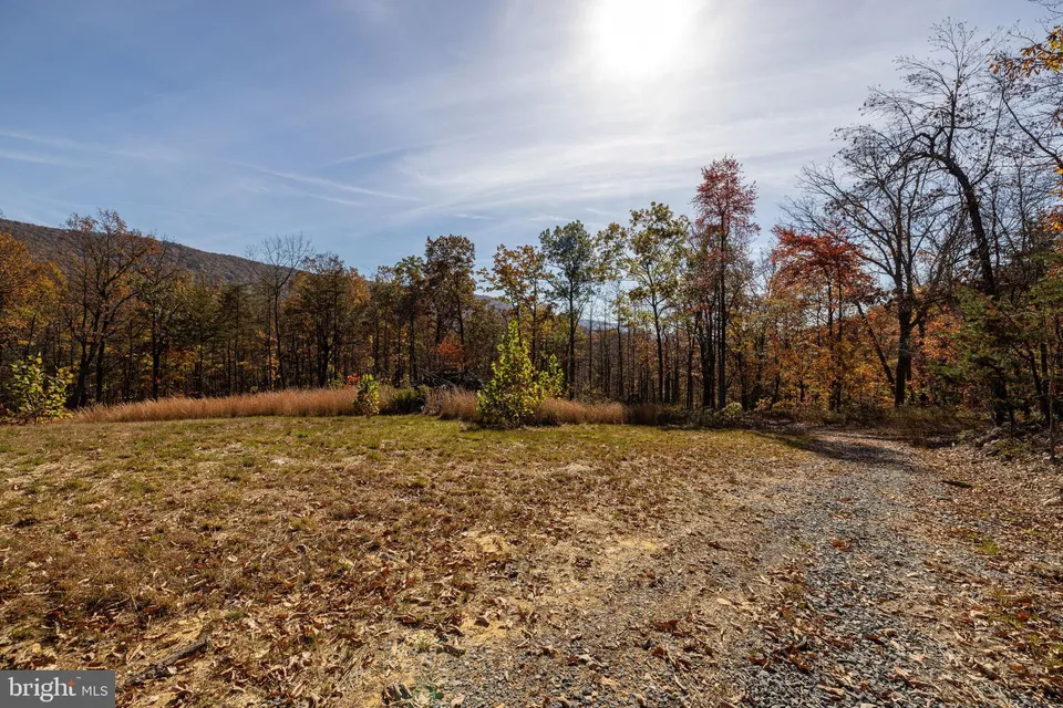 Property in Shenandoah