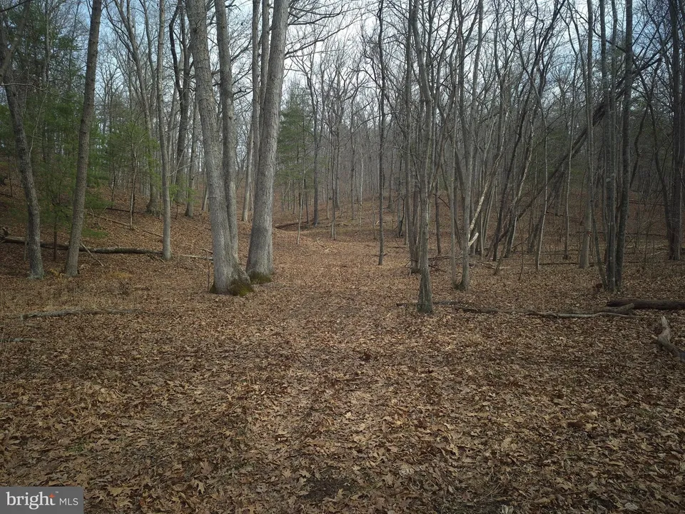 Property in Frederick